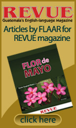 Articles by FLAAR Reports for REVUE Magazine