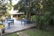 Hotel Jaguar Inn Garden 2 Peten Guatemala Maya-archaeology